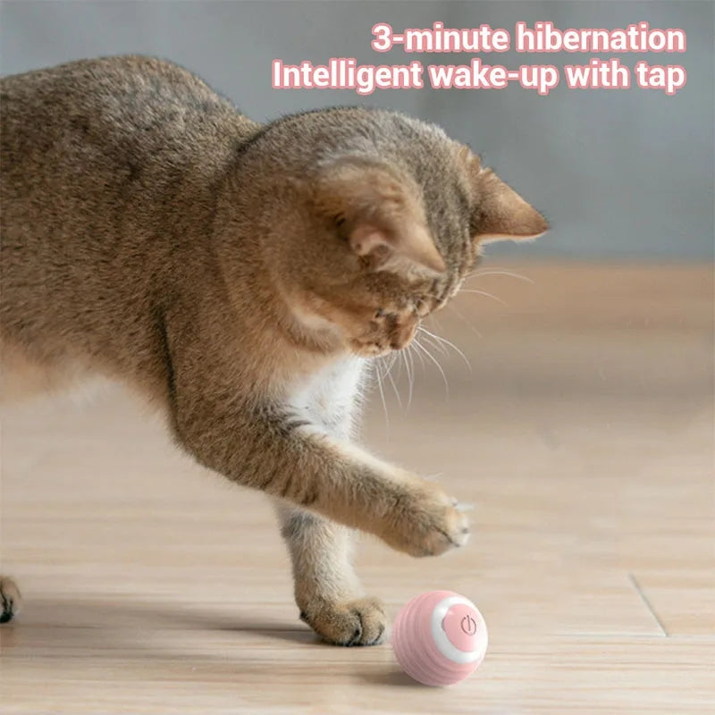Pelota de Juguete para Gatos Recargable
