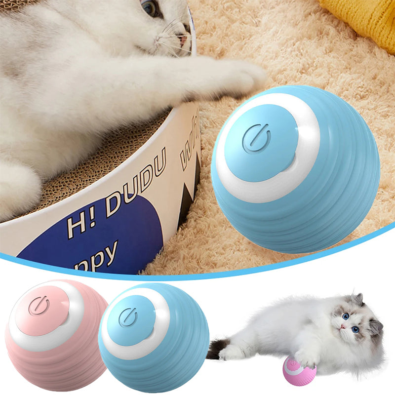 Pelota de Juguete para Gatos Recargable