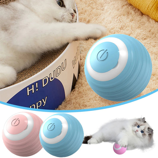 Pelota de Juguete para Gatos Recargable